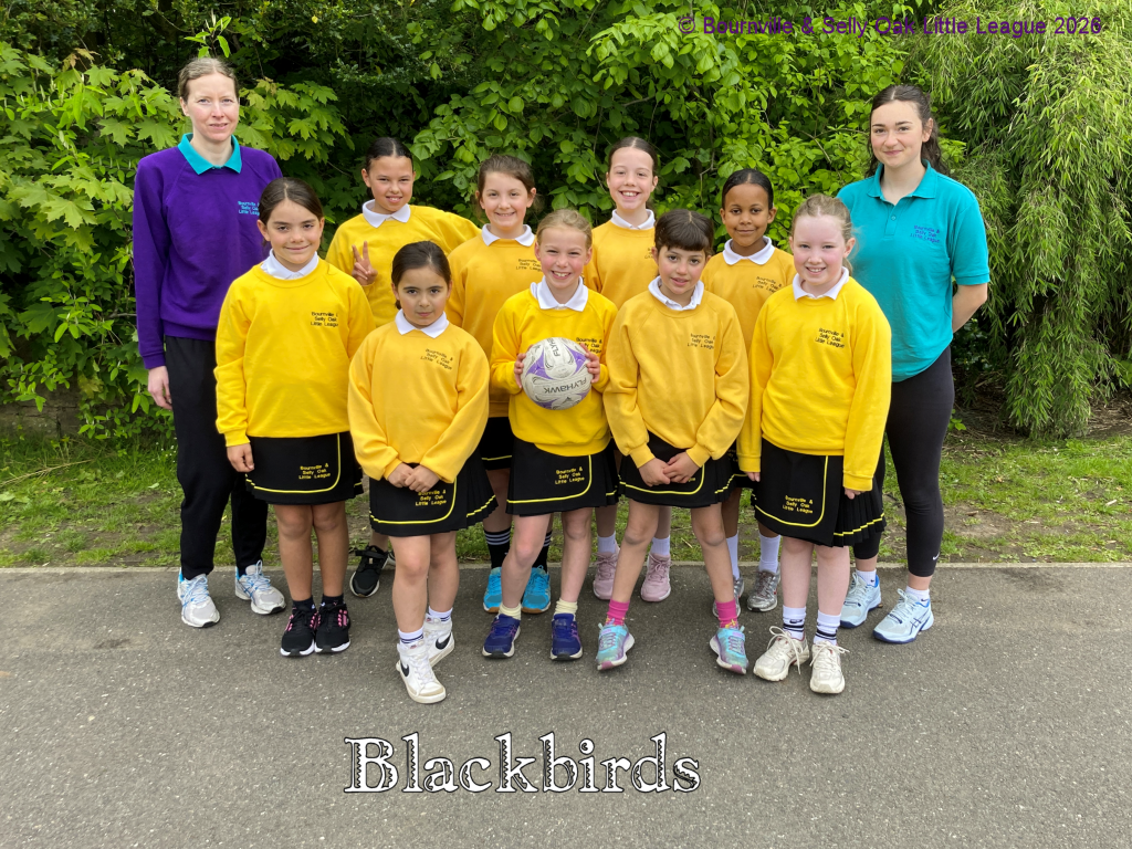 Blackbirds
