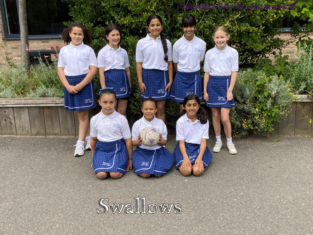 Swallows