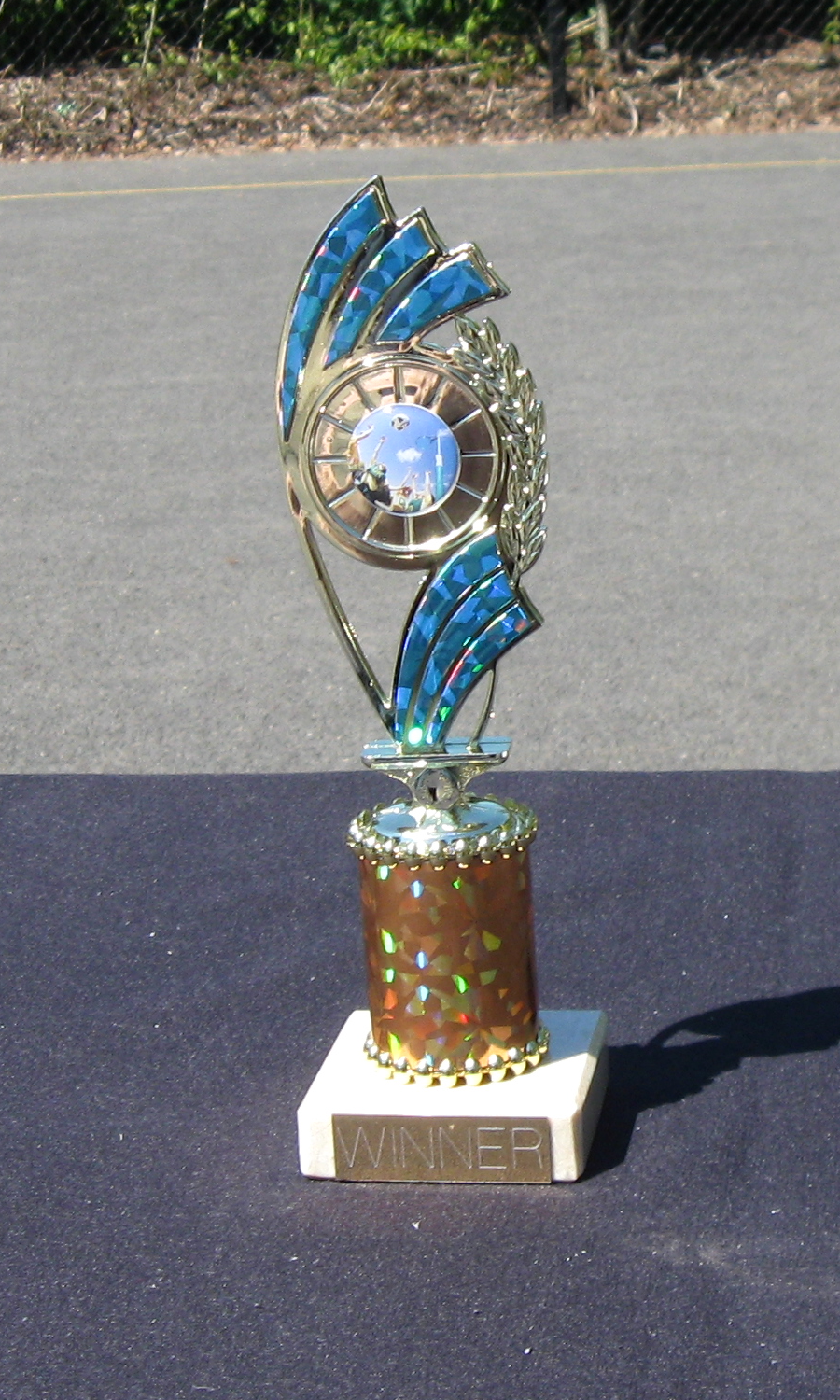 Year 8 Trophy